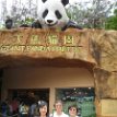 IMG_2046 Panda exhibit, Ocean Park