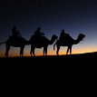 011 - P1160053 12/29/2018 7:38am Merzouga desert village on the edge of the Sahara Desert and the Erg Chebbi sand dunes...