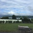 P007 River Conwy, a little over 27 miles long rising on the Migneint moor in central Snowdonia where a number of small streams flow into Llyn (lake) Conwy, then...