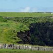 P014-101 ... the South Platform, a perfect viewpoint of the Puffin colony, the puffins make their home on Goat Island (a grassy island looking down to the right);...