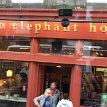 P004 The Elephant House on George IV Bridge in the heart of historic Edinburgh, made famous as the place of inspiration to writers who sat writing much of their...