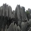 IMG_4500 Stone Forest, Kunming