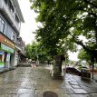 IMG_0426
