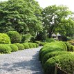 IMG_2890 Garden inside Nagoya Caslte