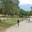 P002 ... the Altis, consecrated to Zeus, a major sanctuary from the 10th century BC to the 4th century AD corresponding to the zenith of Olympia...