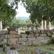 P010 ...the Altis, the sacred enclosure, with its shady oaks, sycamores, pines, poplars and olive trees...