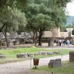 P015 ... zoomed-in view - ruins of the Temple of Zeus...