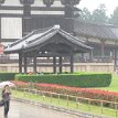 IMG_3118 Todai-Ji Temple - a place for prayers and a center of Buddhist doctrinal research