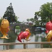 IMG_1166 Giant Carp fish sculptures