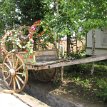 IMG_4142 Wedding flower cart limo, Korean village, Yanji, Jilin